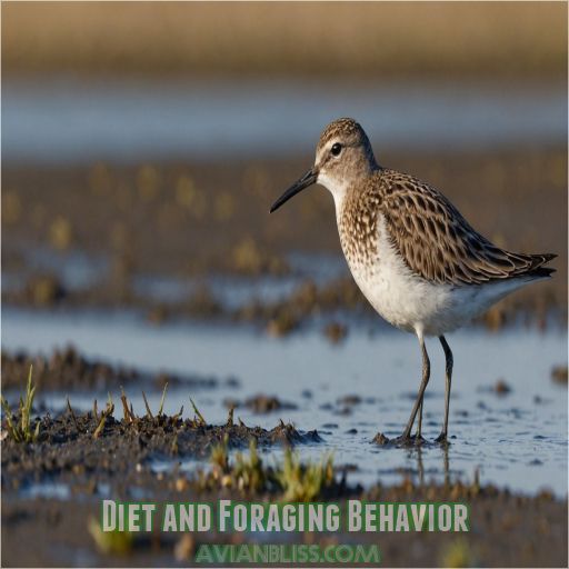 Diet and Foraging Behavior