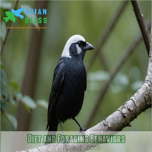 Diet and Foraging Behaviors