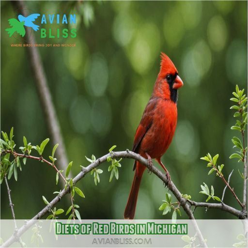 Diets of Red Birds in Michigan