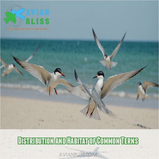 Distribution and Habitat of Common Terns