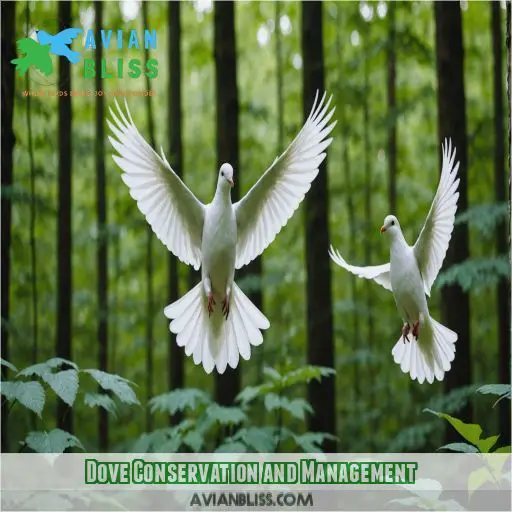 Dove Conservation and Management