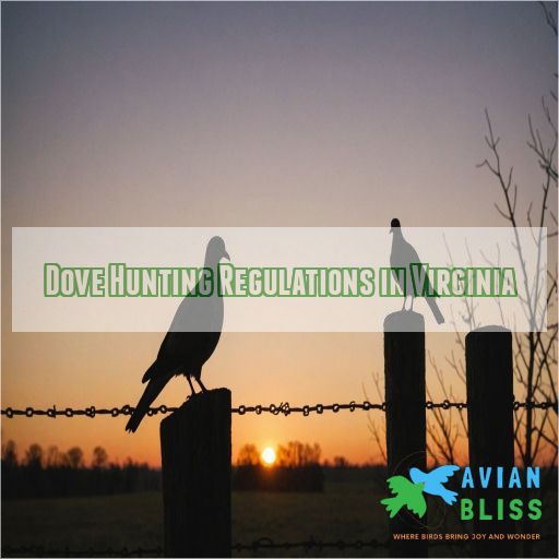 Dove Hunting Regulations in Virginia