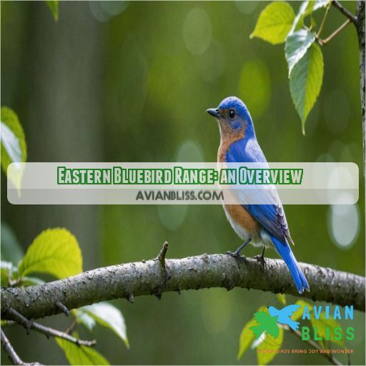 Eastern Bluebird Range: an Overview