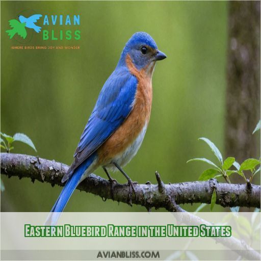 Eastern Bluebird Range in the United States