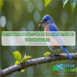 eastern bluebirds diet