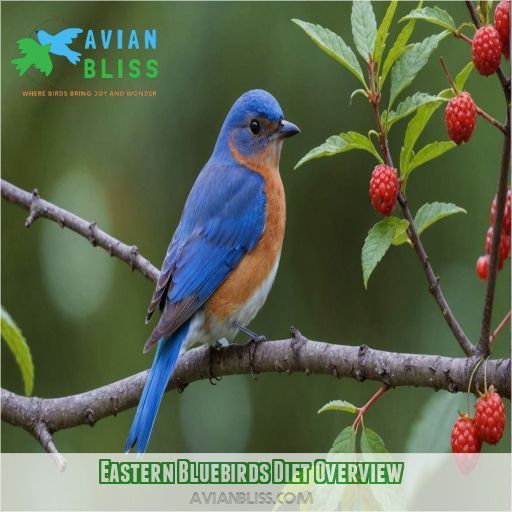 Eastern Bluebirds Diet Overview