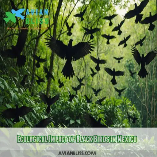 Ecological Impact of Black Birds in Mexico