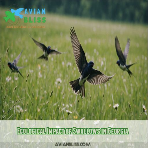 Ecological Impact of Swallows in Georgia