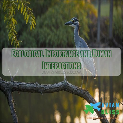 Ecological Importance and Human Interactions