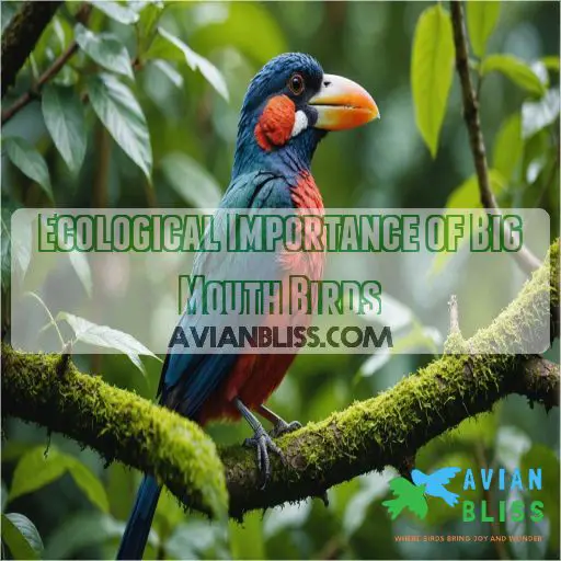 Ecological Importance of Big Mouth Birds