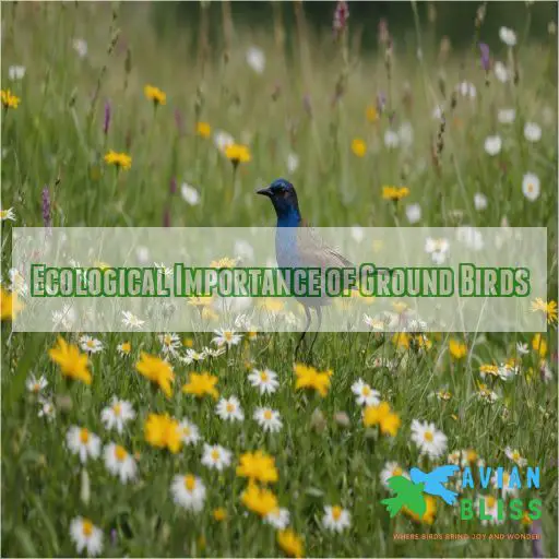 Ecological Importance of Ground Birds