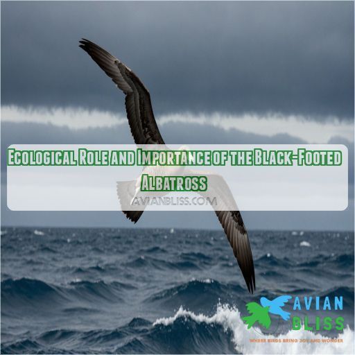 Ecological Role and Importance of the Black-Footed Albatross