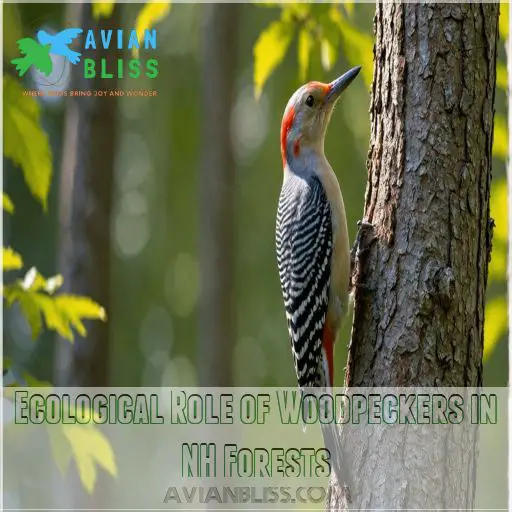 Ecological Role of Woodpeckers in NH Forests