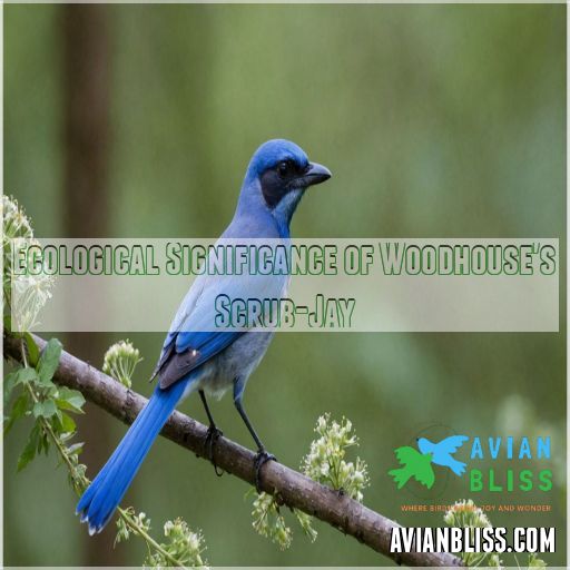 Ecological Significance of Woodhouse