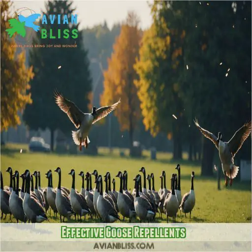 Effective Goose Repellents