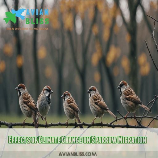 Effects of Climate Change on Sparrow Migration