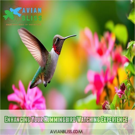 Enhancing Your Hummingbird Watching Experience