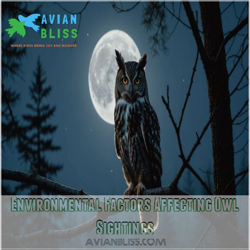 Environmental Factors Affecting Owl Sightings