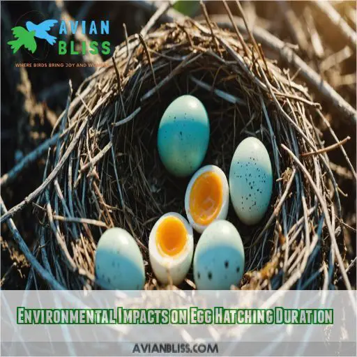 Environmental Impacts on Egg Hatching Duration