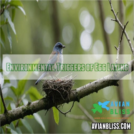 Environmental Triggers of Egg Laying