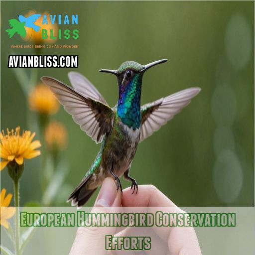 European Hummingbird Conservation Efforts