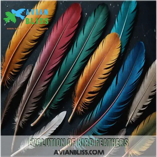 Evolution of Bird Feathers