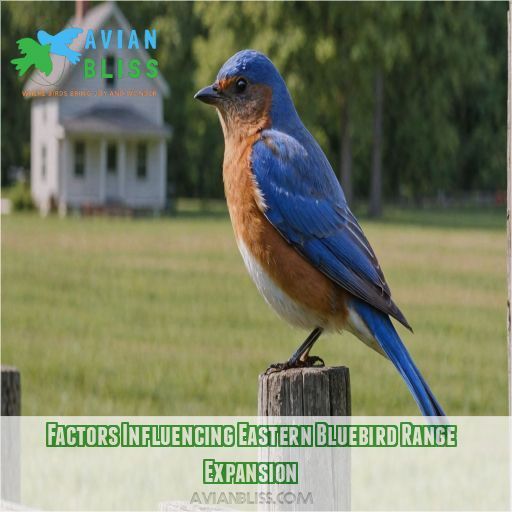 Factors Influencing Eastern Bluebird Range Expansion