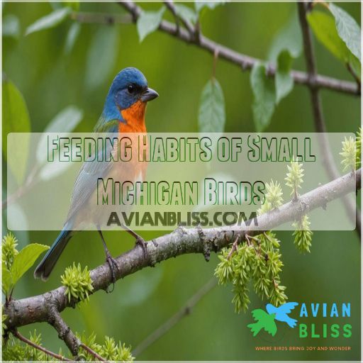 Feeding Habits of Small Michigan Birds