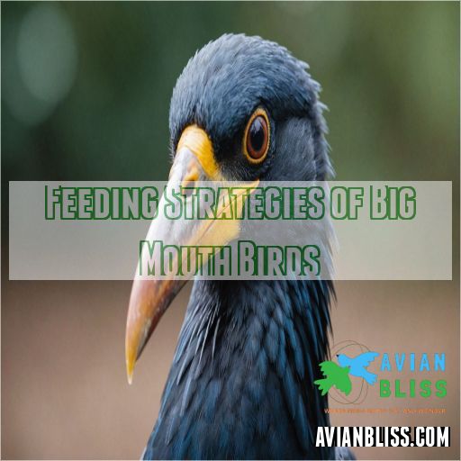 Feeding Strategies of Big Mouth Birds