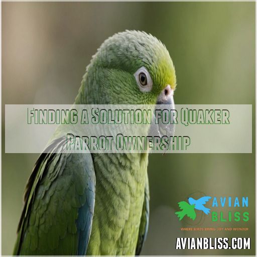 Finding a Solution for Quaker Parrot Ownership