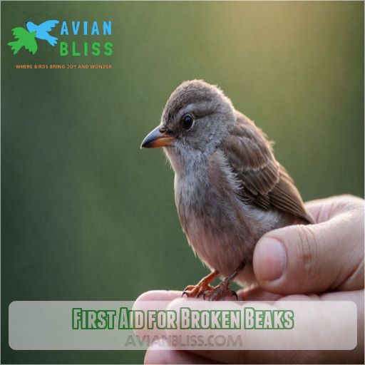 First Aid for Broken Beaks