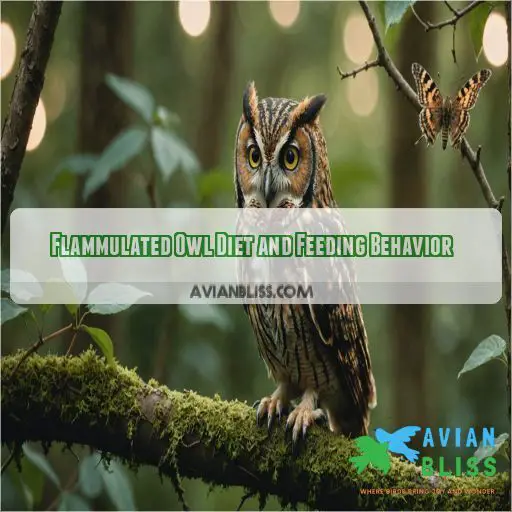 Flammulated Owl Diet and Feeding Behavior