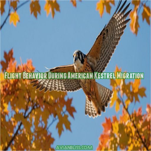 Flight Behavior During American Kestrel Migration