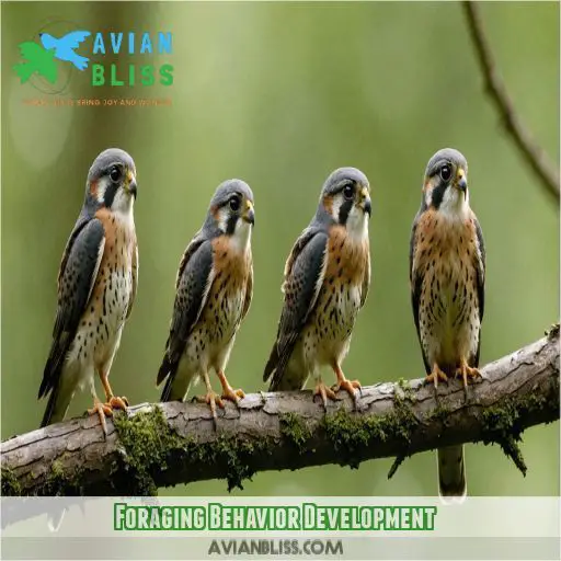 Foraging Behavior Development