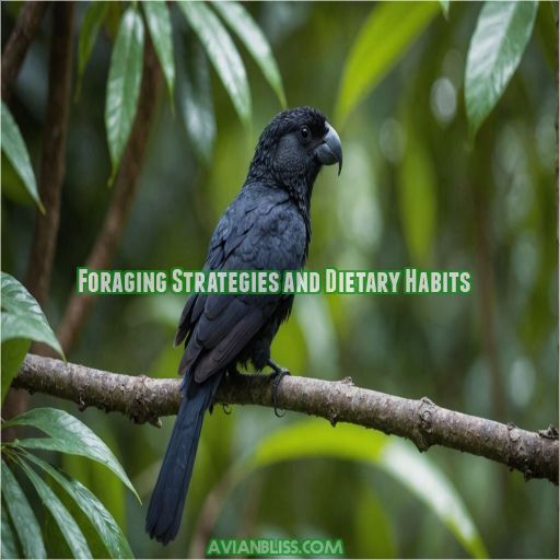 Foraging Strategies and Dietary Habits