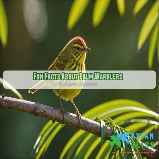 Fun Facts About Palm Warblers