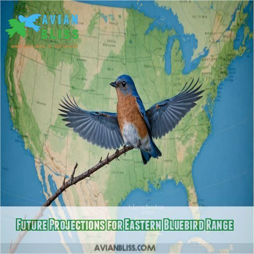 Future Projections for Eastern Bluebird Range