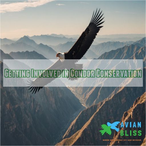 Getting Involved in Condor Conservation