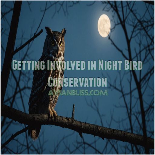 Getting Involved in Night Bird Conservation