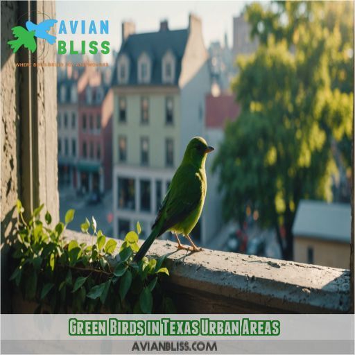 Green Birds in Texas Urban Areas