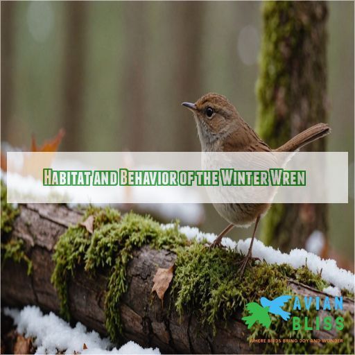 Habitat and Behavior of the Winter Wren