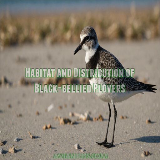 Habitat and Distribution of Black-bellied Plovers