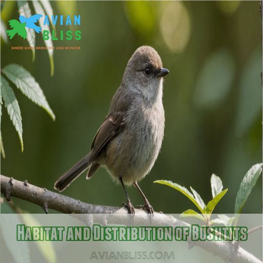 Habitat and Distribution of Bushtits