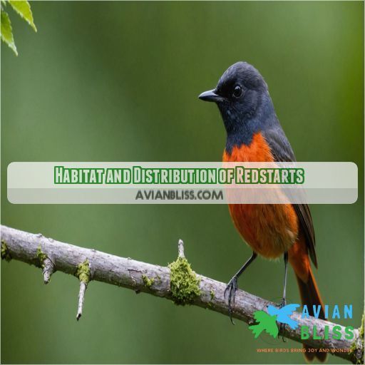 Habitat and Distribution of Redstarts