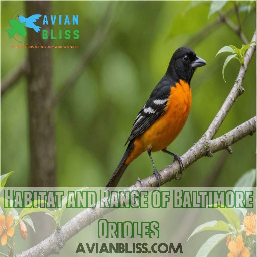 Habitat and Range of Baltimore Orioles