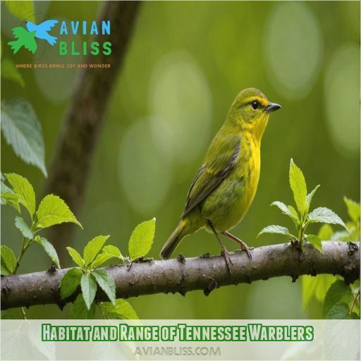 Habitat and Range of Tennessee Warblers