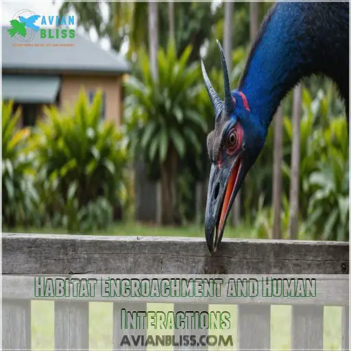 Habitat Encroachment and Human Interactions