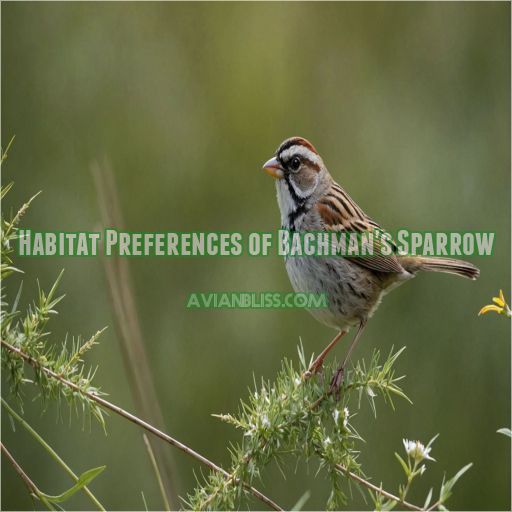 Habitat Preferences of Bachman