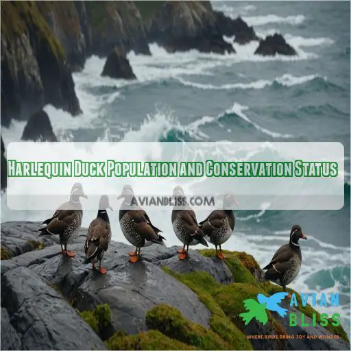 Harlequin Duck Population and Conservation Status