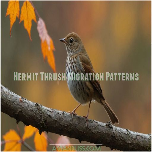 Hermit Thrush Migration Patterns